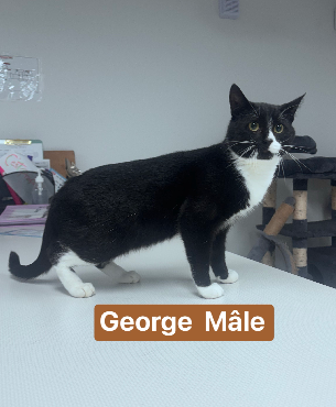 George1