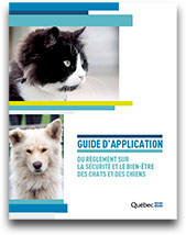 Guide